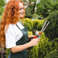 5 Ways to Boost Your Home’s Curb Appeal